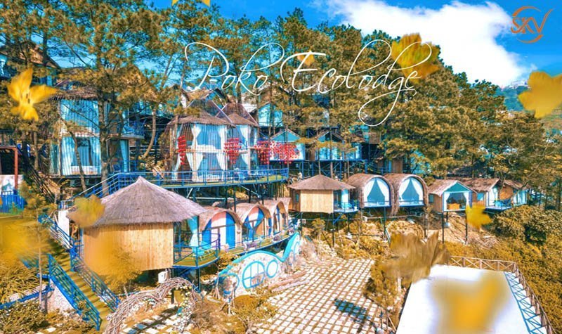 SKV dã ngoại tam đảo 