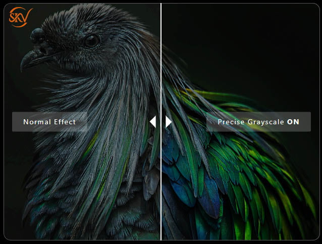 Novastar CA50E Card led Novastar CA50E - 1