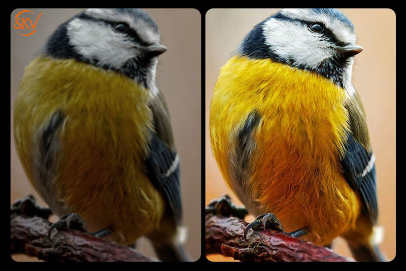 Novastar CA50E Card led Novastar CA50E - 5