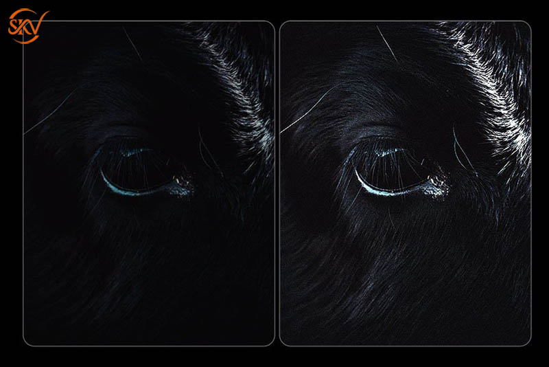 Novastar CA50E Card led Novastar CA50E - 7