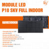 Module Led P10 SKV Indoor
